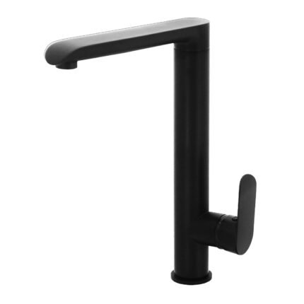 FIDELIS FT-7605BK Sink Mixer (Forrest Series) Black